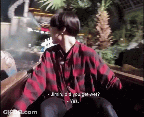 A Man In A Red And Black Plaid Shirt Is Riding A Roller Coaster And Asking Jimin If He Got Wet GIF