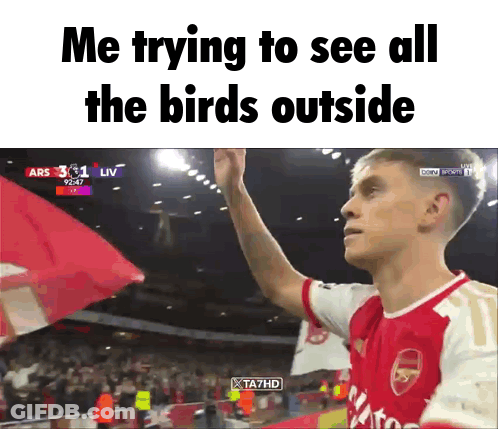 A Man In A Red And White Arsenal Jersey Is Waving A Flag During A Soccer Game GIF