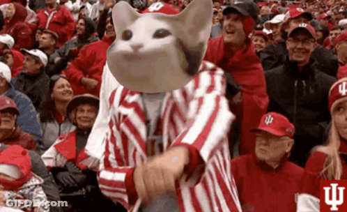 A Man In A Red And White Striped Jacket With A Cat On His Head Is Dancing In A Crowd GIF