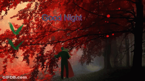 A Man In A Red Cape Is Standing In A Forest With The Words Good Night Written Above Him GIF