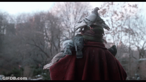 A Man In A Red Cape Is Surrounded By Pigeons On His Back GIF