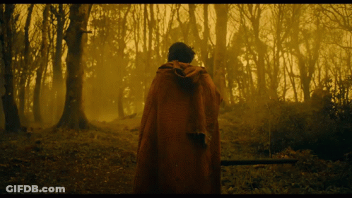 A Man In A Red Cape Is Walking Through A Forest GIF