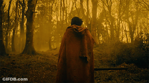 A Man In A Red Cape Stands In The Woods GIF