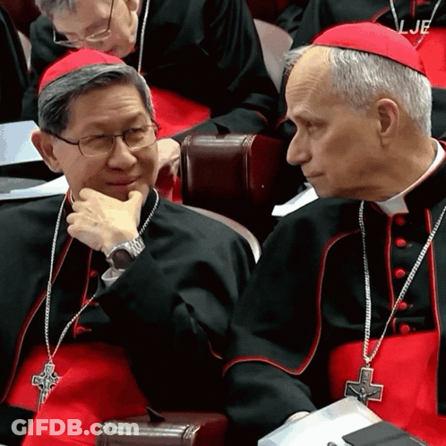 A Man In A Red Hat Has The Word Lje On His Collar GIF