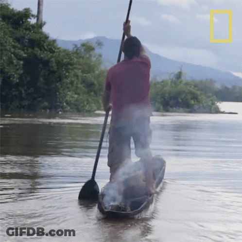 A Man In A Red Shirt Is Paddling A Boat In A River GIF