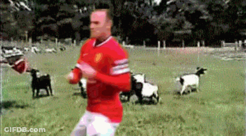 A Man In A Red Shirt Is Running In A Field With Goats GIF