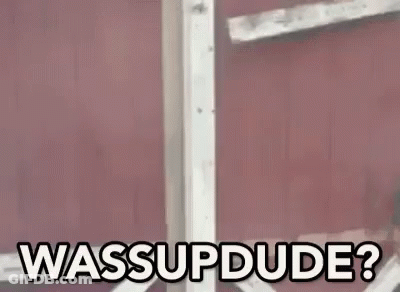A Man In A Red Shirt Is Standing In A Doorway With The Words `` Wassup Dude '' Written On It . GIF