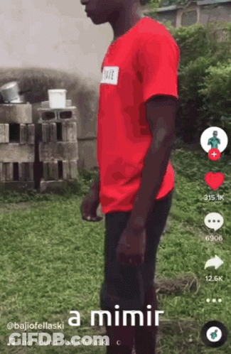A Man In A Red Shirt Is Standing In A Grassy Area With The Words " A Mimir " Below Him GIF