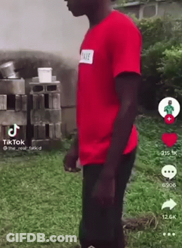 A Man In A Red Shirt Is Standing In The Grass In Front Of A Brick Wall . GIF