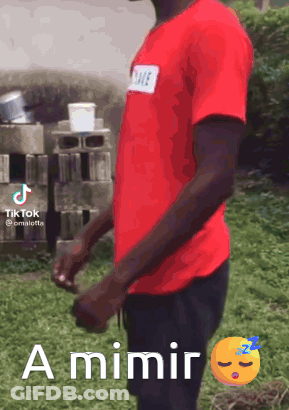 A Man In A Red Shirt Is Standing In The Grass With The Words A Mimir Written On The Bottom GIF
