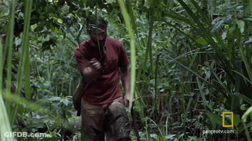 A Man In A Red Shirt Is Walking Through A Lush Green Forest With A National Geographic Logo In The Corner GIF