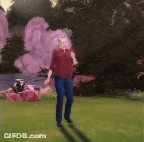 A Man In A Red Shirt Stands In Front Of A Waterfall In A Video Game GIF
