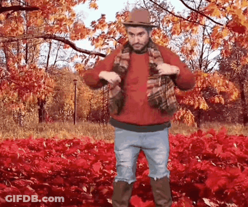 A Man In A Red Sweater And A Hat Is Standing In A Field Of Red Leaves GIF