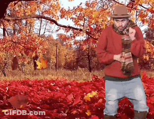 A Man In A Red Sweater And Scarf Is Standing In A Pile Of Leaves . GIF
