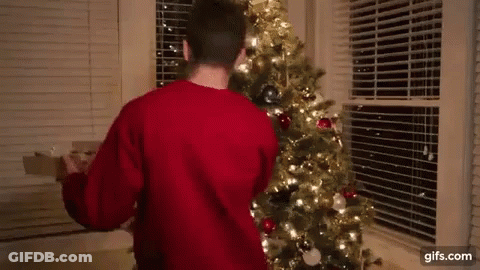 A Man In A Red Sweater Is Decorating A Christmas Tree In Front Of A Window . GIF