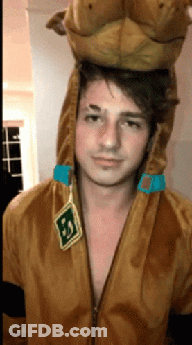 A Man In A Scooby Doo Costume Has A Stuffed Animal On His Head . GIF