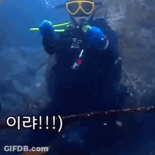A Man In A Scuba Suit Is Holding A Spear In The Water And Says Hello GIF