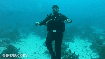 A Man In A Scuba Suit Is Swimming In The Ocean . GIF