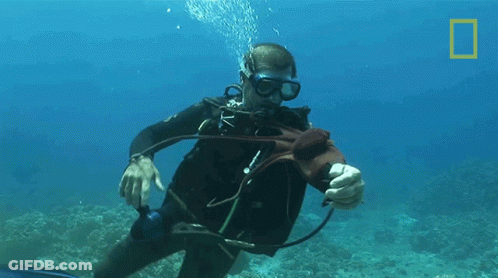 A Man In A Scuba Suit Is Underwater With A National Geographic Logo Behind Him GIF