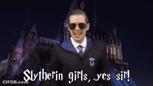A Man In A Slytherin Costume Stands In Front Of A Castle And Says Slytherin Girls Yes Sir GIF
