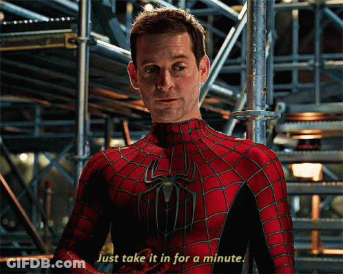 A Man In A Spider Man Costume Says Just Take It In For A Minute GIF