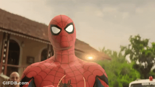 A Man In A Spider Man Costume Stands In Front Of A Goa Police Car GIF