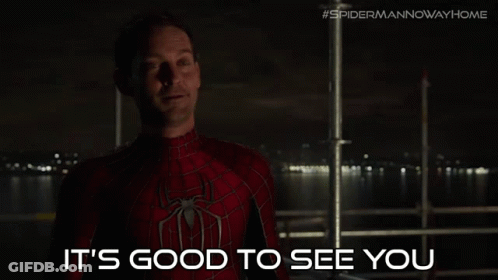 A Man In A Spider Man Suit Is Standing In Front Of A Body Of Water And Says It 'S Good To See You GIF