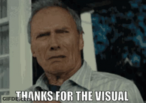 A Man In A Striped Shirt Is Standing In Front Of A Window And Says `` Thanks For The Visual '' . GIF