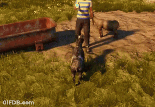 A Man In A Striped Shirt Stands Next To A Goat GIF