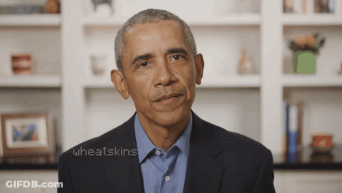 A Man In A Suit And A Blue Shirt With The Words Wheatskins On The Bottom GIF