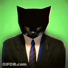 A Man In A Suit And Tie Has A Cat Mask On His Head GIF