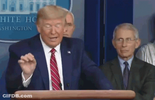 A Man In A Suit And Tie Is Giving A Speech At A Podium In Front Of A White House Sign . GIF
