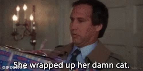 A Man In A Suit And Tie Is Holding A Box And Saying `` She Wrapped Up Her Damn Cat '' . GIF