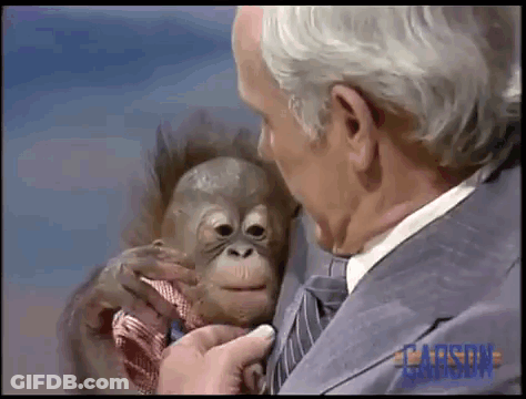 A Man In A Suit And Tie Is Holding A Small Monkey In His Arms . GIF