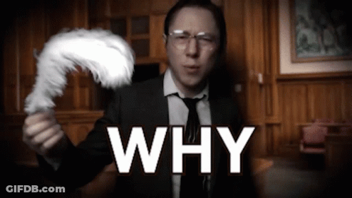 A Man In A Suit And Tie Is Holding A White Feather And The Word Why Is Below Him GIF