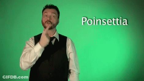 A Man In A Suit And Tie Is Making A Sign That Says Poinsettia GIF