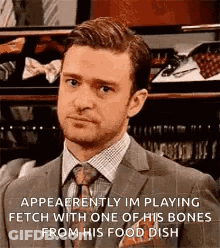 A Man In A Suit And Tie Is Playing Fetch With A Dog . GIF