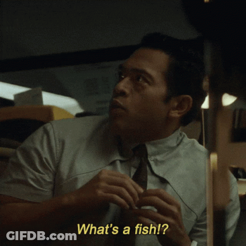A Man In A Suit And Tie Is Saying What 'S A Fish GIF