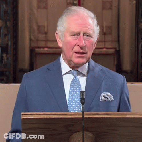 A Man In A Suit And Tie Is Standing At A Podium GIF