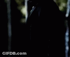 A Man In A Suit And Tie Is Standing In A Dark Forest . GIF