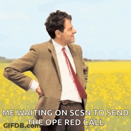 A Man In A Suit And Tie Is Standing In A Field Of Yellow Flowers With His Hands On His Hips . GIF