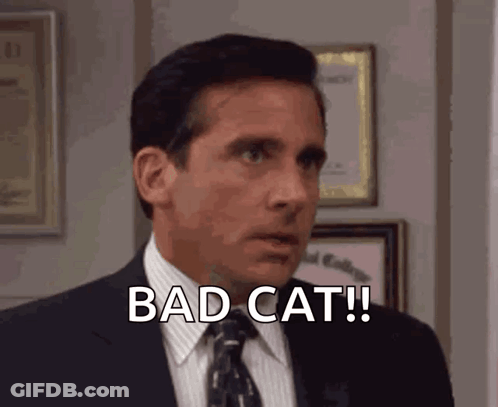 A Man In A Suit And Tie Says Bad Cat ! GIF