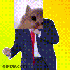 A Man In A Suit And Tie With A Cat On His Head GIF