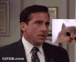 A Man In A Suit And Tie With A Picture Of A Cat In The Background GIF