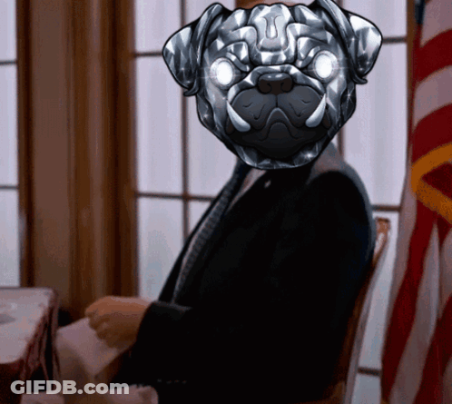 A Man In A Suit And Tie With A Pug Mask On His Head GIF