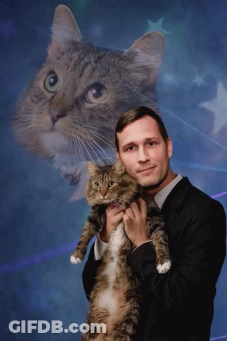 A Man In A Suit Holds A Cat In Front Of A Cat 'S Face GIF
