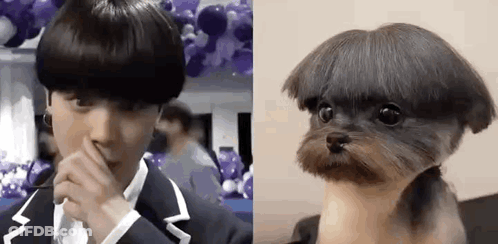 A Man In A Suit Is Covering His Nose Next To A Small Dog With A Very Short Haircut . GIF