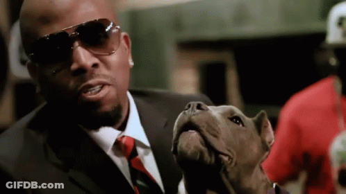 A Man In A Suit Is Holding A Small Dog GIF