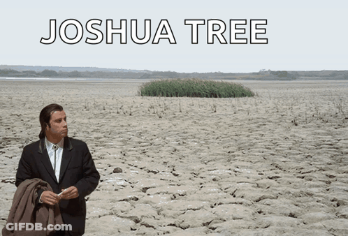 A Man In A Suit Is Standing In The Middle Of A Desert With The Words Joshua Tree Written Above Him GIF