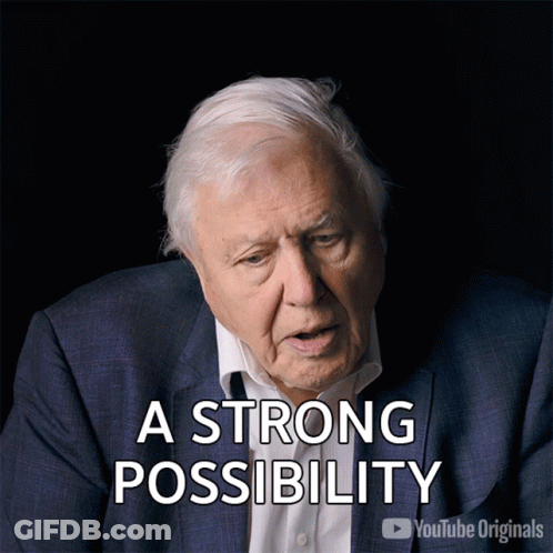 A Man In A Suit Says " A Strong Possibility " In Front Of Him GIF